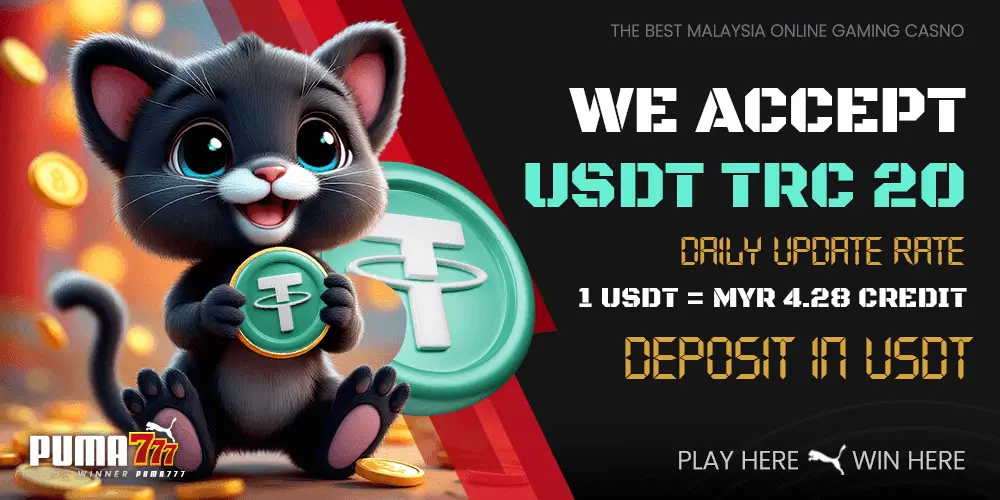 puma777 payment gateway usdt